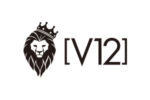 V１２