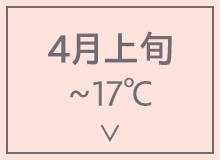 4月上旬~17℃