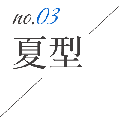 03.夏型